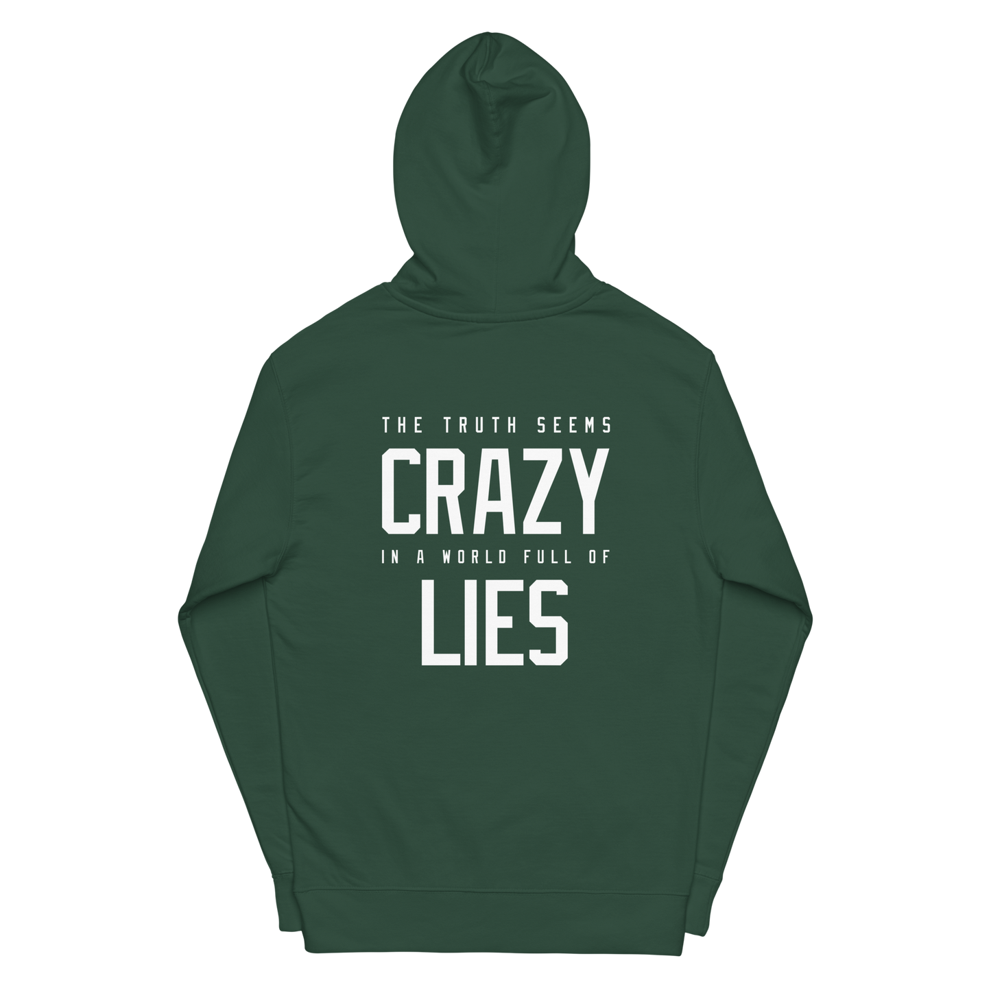 World Of Lies Hoodie