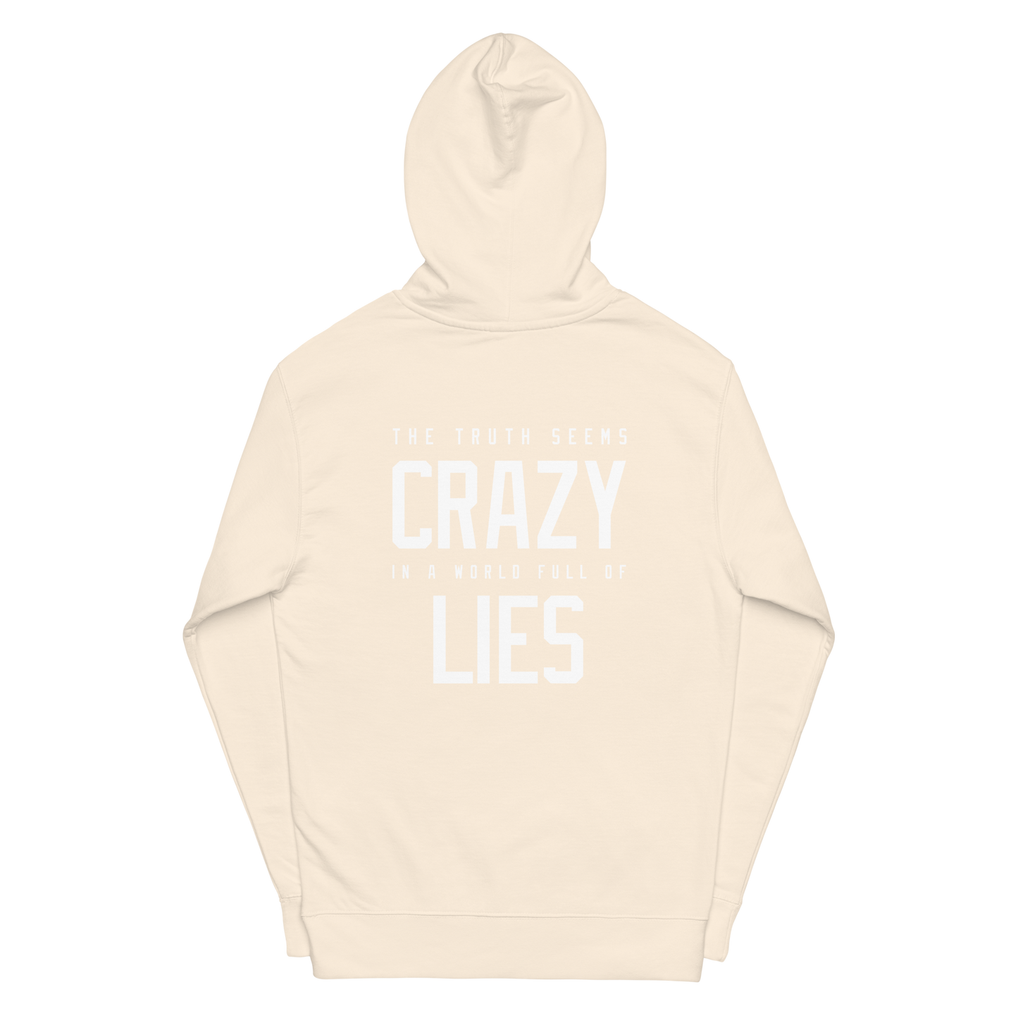 World Of Lies Hoodie